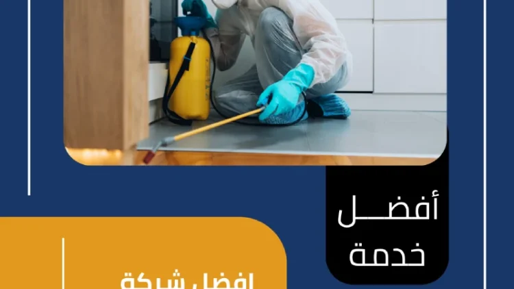 افضل شركة مكافحة حشرات بتبوك